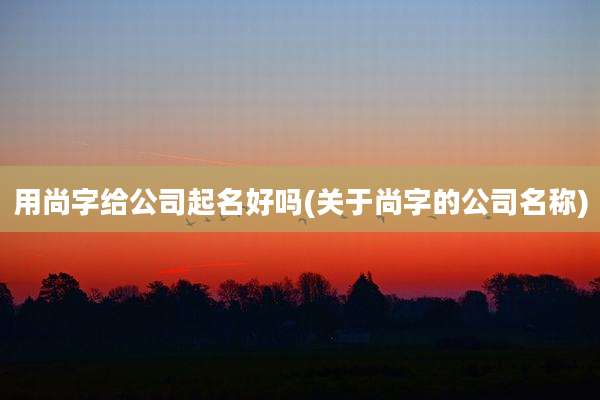 用尚字给公司起名好吗(关于尚字的公司名称)