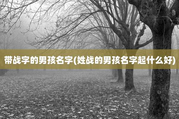 带战字的男孩名字(姓战的男孩名字起什么好)