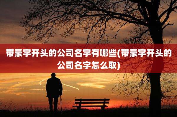带豪字开头的公司名字有哪些(带豪字开头的公司名字怎么取)