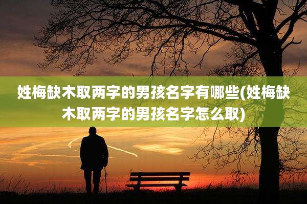 姓梅缺木取两字的男孩名字有哪些(姓梅缺木取两字的男孩名字怎么取)