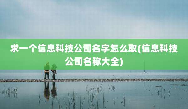 求一个信息科技公司名字怎么取(信息科技公司名称大全)