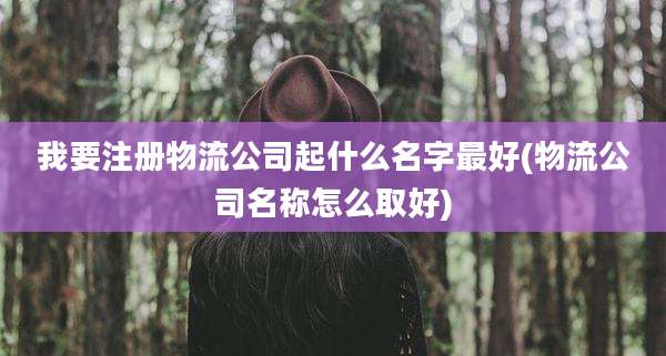 我要注册物流公司起什么名字最好(物流公司名称怎么取好)