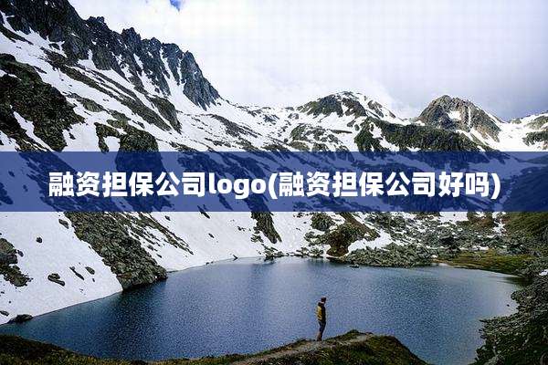 融资担保公司logo(融资担保公司好吗)