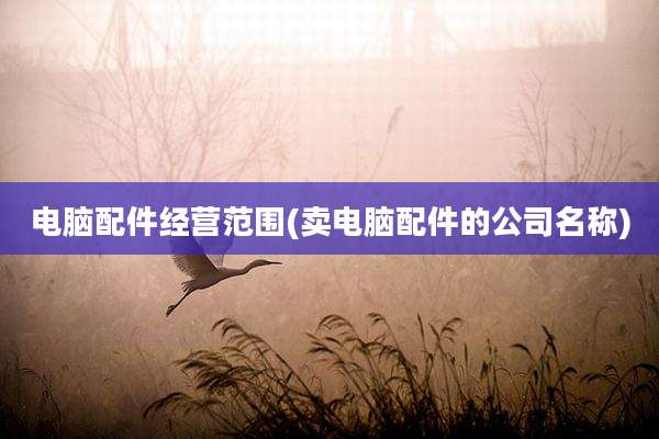 电脑配件经营范围(卖电脑配件的公司名称)