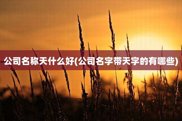 公司名称天什么好(公司名字带天字的有哪些)