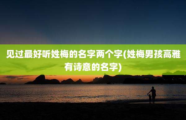 见过最好听姓梅的名字两个字(姓梅男孩高雅有诗意的名字)