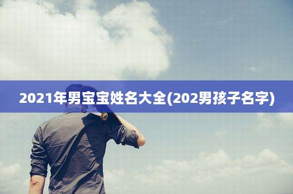 2021年男宝宝姓名大全(202男孩子名字)