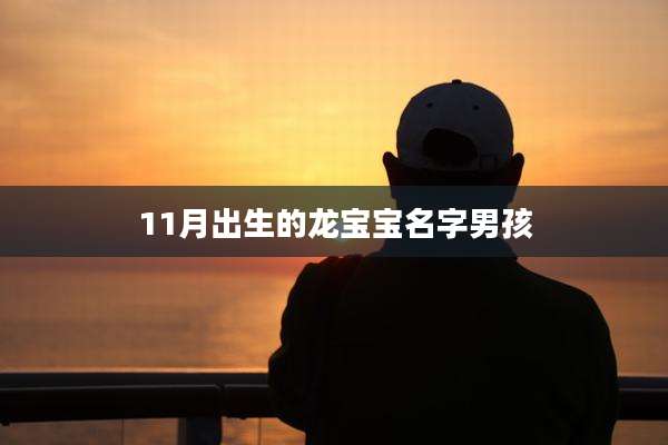 11月出生的龙宝宝名字男孩