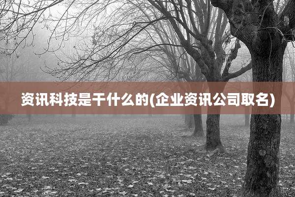 资讯科技是干什么的(企业资讯公司取名)
