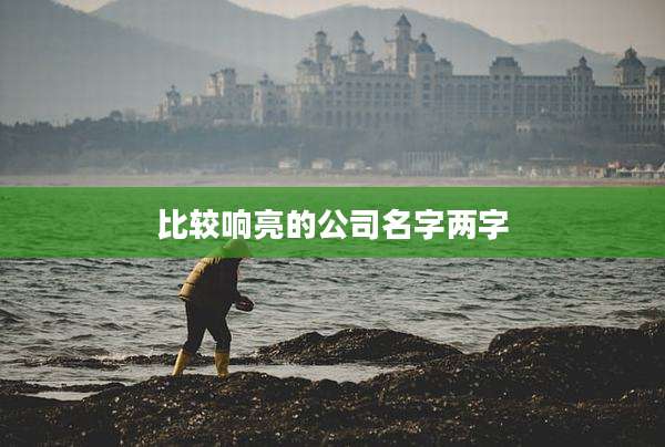 比较响亮的公司名字两字