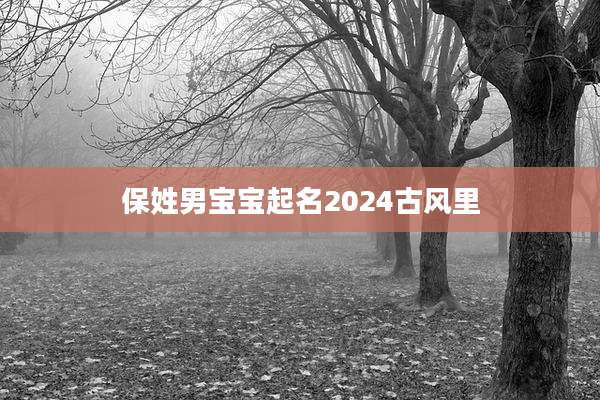 保姓男宝宝起名2024古风里