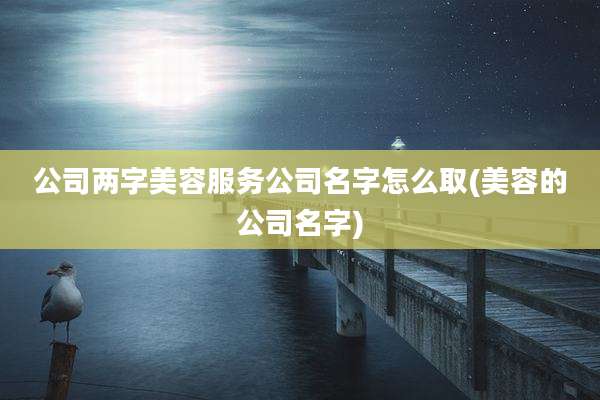 公司两字美容服务公司名字怎么取(美容的公司名字)