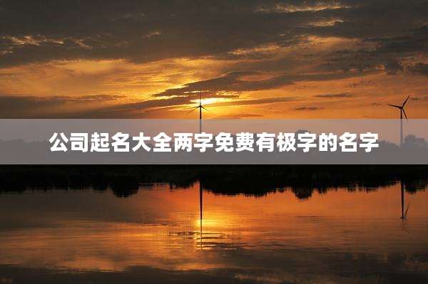 公司起名大全两字免费有极字的名字
