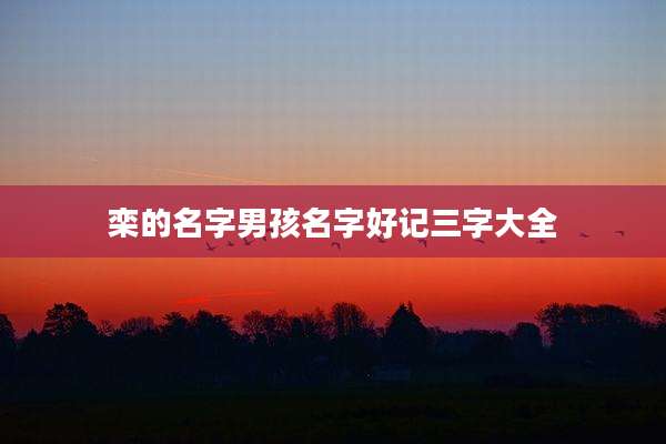栾的名字男孩名字好记三字大全