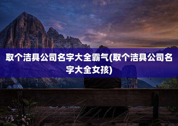 取个洁具公司名字大全霸气(取个洁具公司名字大全女孩)