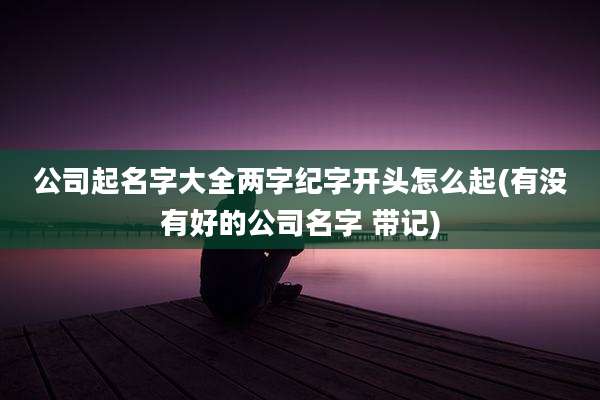 公司起名字大全两字纪字开头怎么起(有没有好的公司名字 带记)