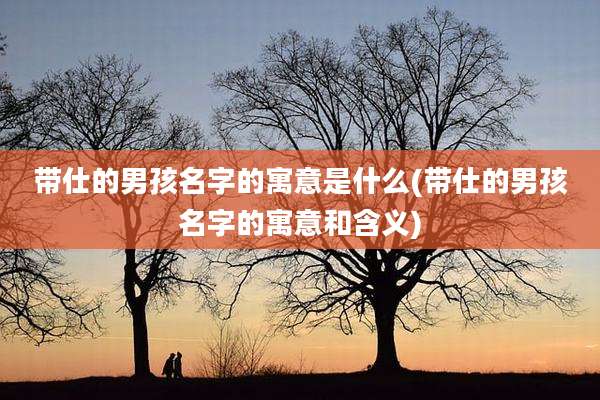 带仕的男孩名字的寓意是什么(带仕的男孩名字的寓意和含义)