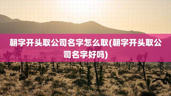 朝字开头取公司名字怎么取(朝字开头取公司名字好吗)
