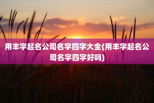 用丰字起名公司名字四字大全(用丰字起名公司名字四字好吗)