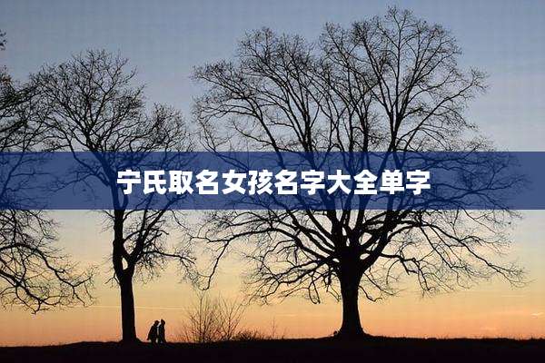 宁氏取名女孩名字大全单字
