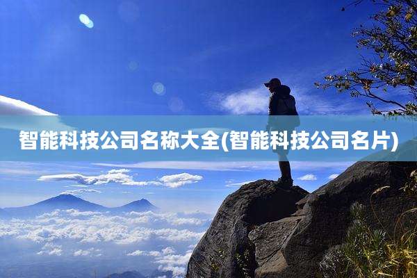 智能科技公司名称大全(智能科技公司名片)
