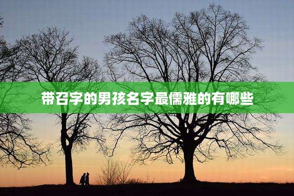 带召字的男孩名字最儒雅的有哪些