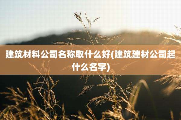 建筑材料公司名称取什么好(建筑建材公司起什么名字)