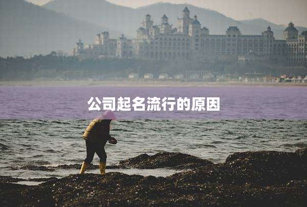 公司起名流行的原因