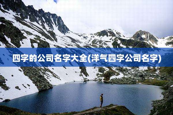 四字的公司名字大全(洋气四字公司名字)