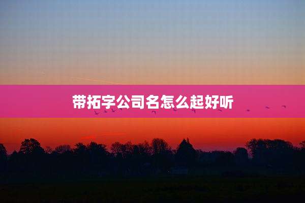 带拓字公司名怎么起好听