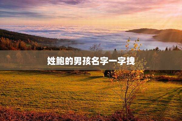 姓鲍的男孩名字一字拽