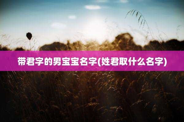 带君字的男宝宝名字(姓君取什么名字)