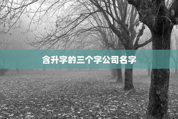 含升字的三个字公司名字