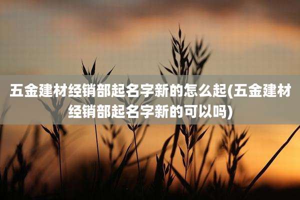 五金建材经销部起名字新的怎么起(五金建材经销部起名字新的可以吗)