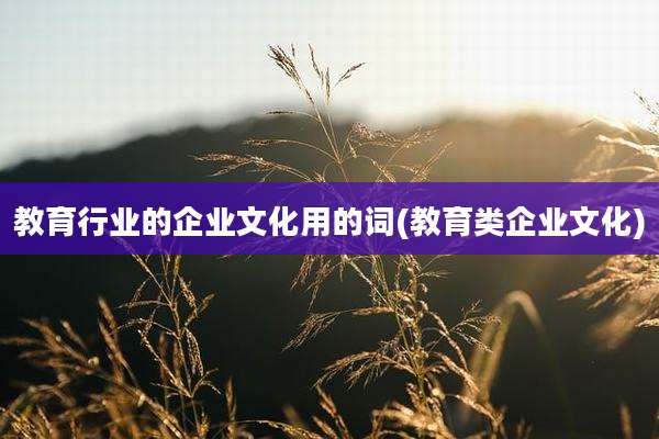教育行业的企业文化用的词(教育类企业文化)