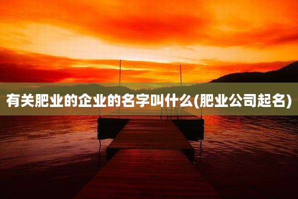 有关肥业的企业的名字叫什么(肥业公司起名)