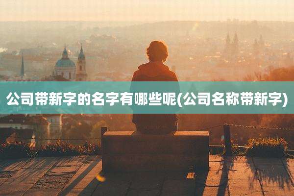 公司带新字的名字有哪些呢(公司名称带新字)