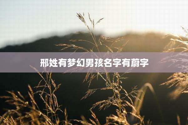 邢姓有梦幻男孩名字有蔚字