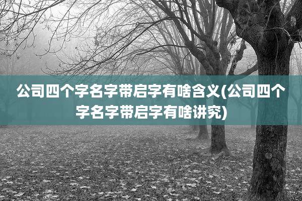公司四个字名字带启字有啥含义(公司四个字名字带启字有啥讲究)