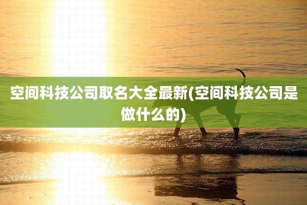 空间科技公司取名大全最新(空间科技公司是做什么的)