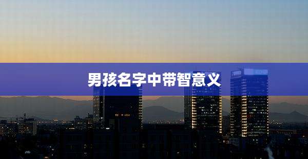 男孩名字中带智意义