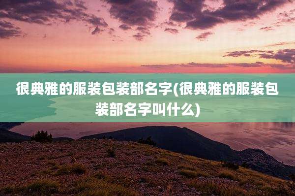 很典雅的服装包装部名字(很典雅的服装包装部名字叫什么)