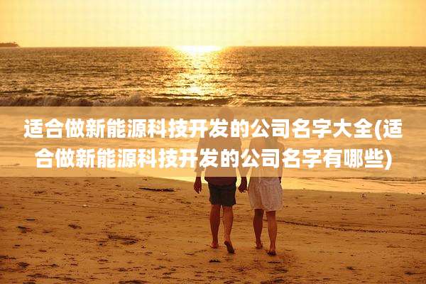 适合做新能源科技开发的公司名字大全(适合做新能源科技开发的公司名字有哪些)