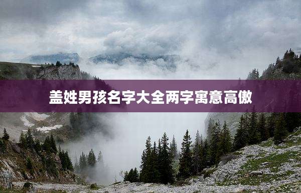 盖姓男孩名字大全两字寓意高傲