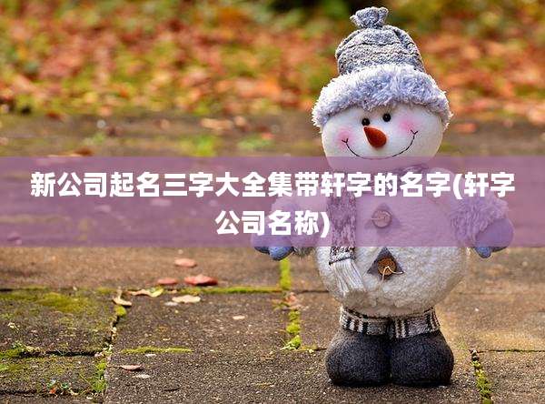 新公司起名三字大全集带轩字的名字(轩字公司名称)