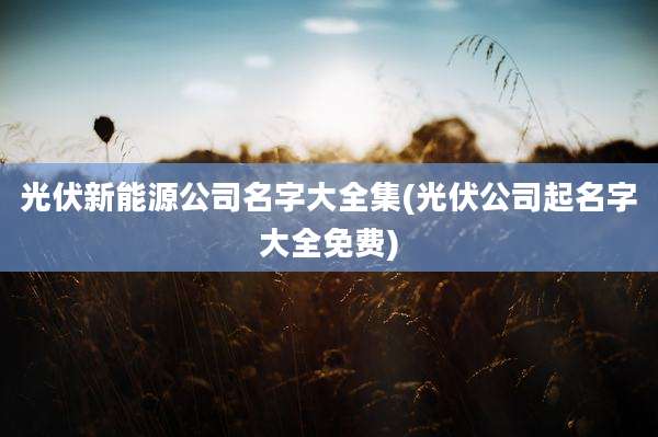 光伏新能源公司名字大全集(光伏公司起名字大全免费)