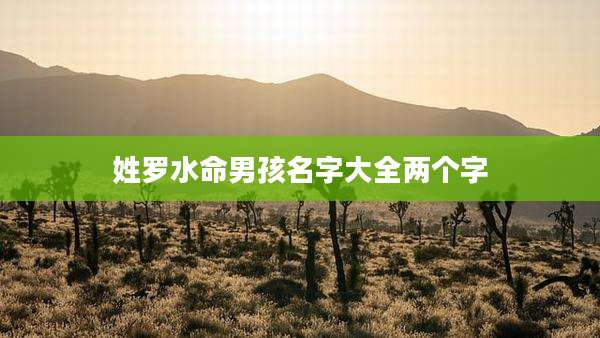 姓罗水命男孩名字大全两个字
