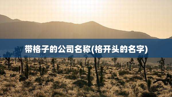 带格子的公司名称(格开头的名字)