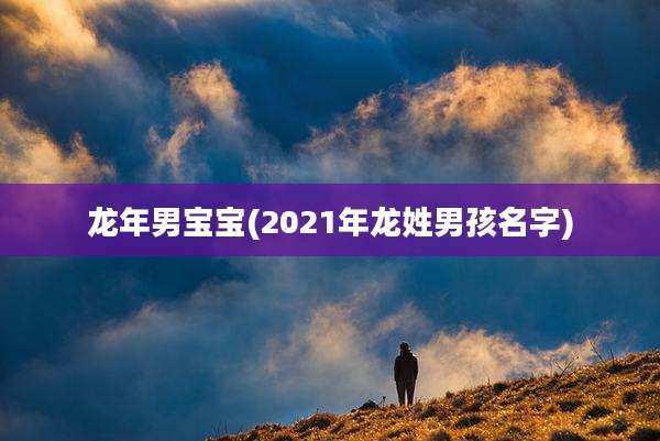 龙年男宝宝(2021年龙姓男孩名字)