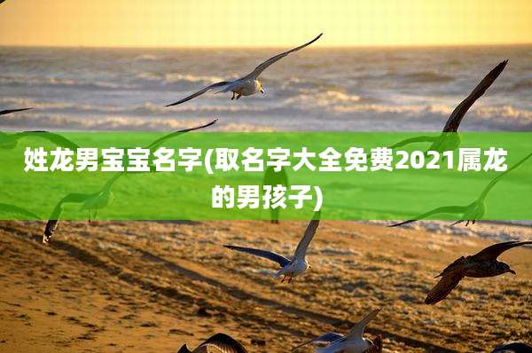 姓龙男宝宝名字(取名字大全免费2021属龙的男孩子)